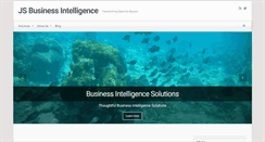 Desktop Screenshot of jsbusinessintelligence.com